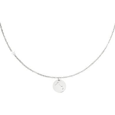 Collar signo del zodíaco Aries Plata Acero inoxidable h5 Imagen5